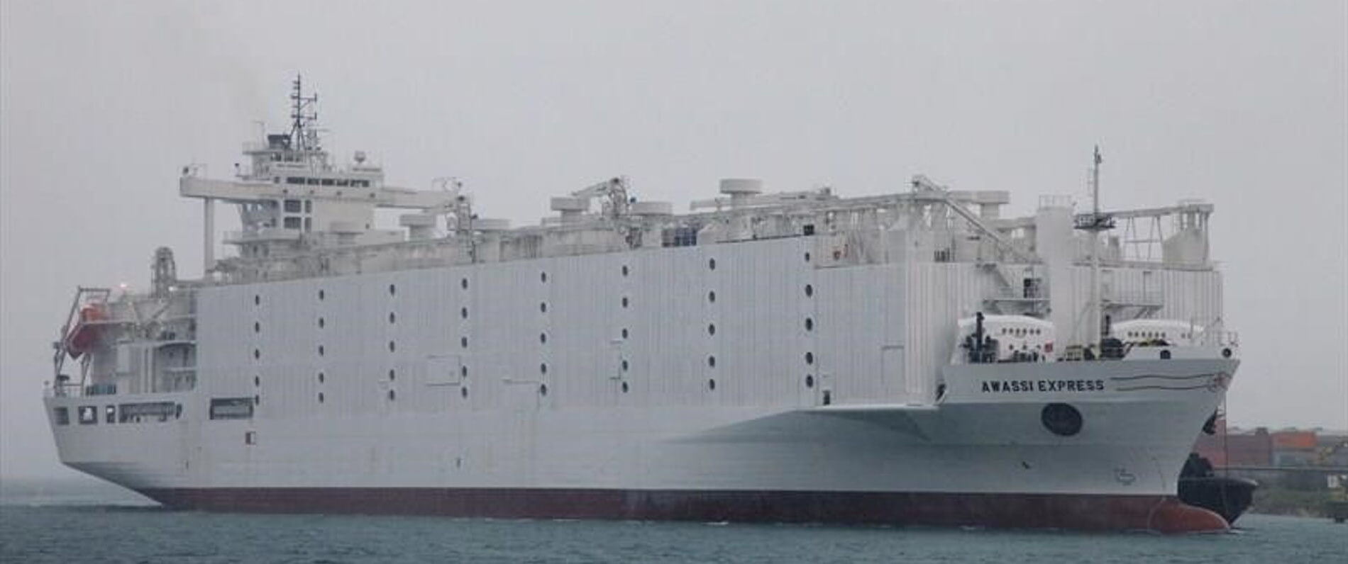 Conversion from container feeder into a livestock carrier 'Alondra'